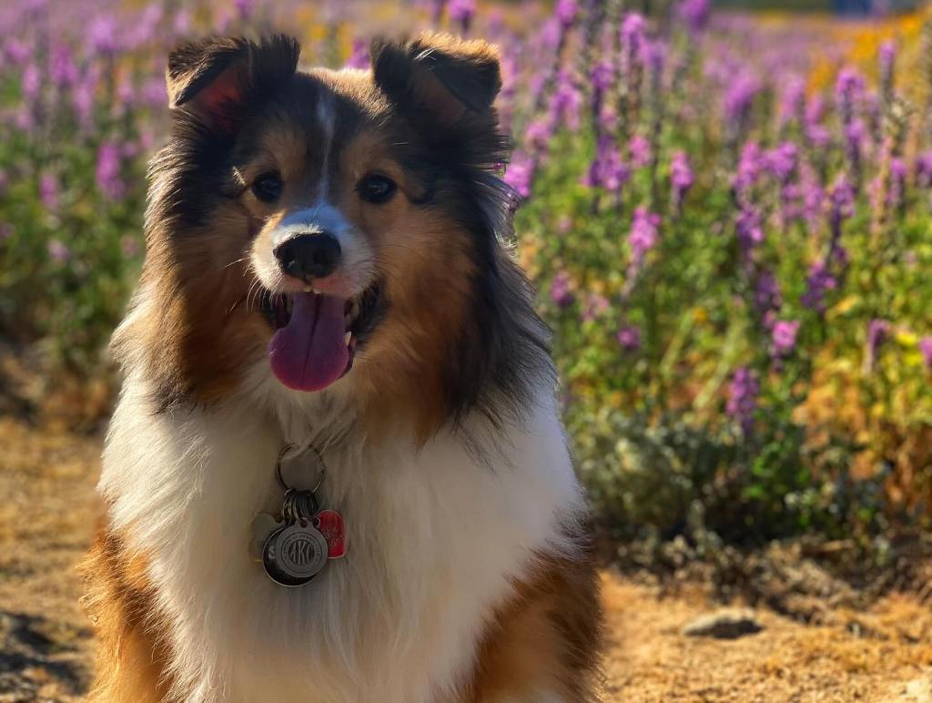 The Architecture of Grief